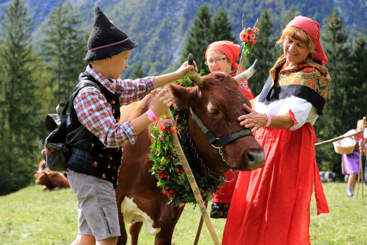 V nedeljo, 20.9. v Bohinj na tradicionalni Kravji bal. Kje lahko kampirate?