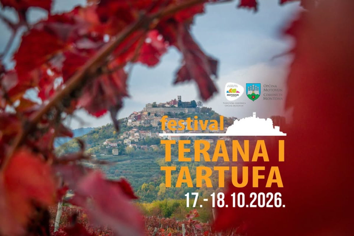 Na teran in tartufe v Motovun