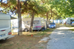 kamp camping Dido Bibinje Zadar