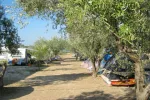 kamp camping Marin Pakoštane