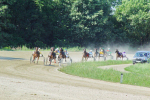 konjeniški center - kamp Silva - Ljutomer