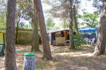 kamp camping Sidro Banjole