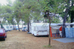 kamp camping Kod Jakova Pašman