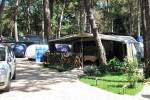 kamp camping Kastanija Novigrad