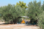  kamp camping Daleka Obala Pašman