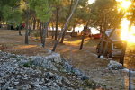  kamp camping Barinica Primošten
