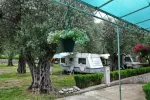 kamp Maslina - Buljarica, Črna gora