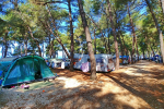 Kamp Savudrija - Pineta