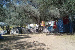 kamp camping Bambo Slano Dubrovnik