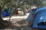 kamp camping Bambo Slano Dubrovnik