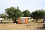 kamp camping Kero Bibinje Zadar