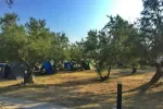 kamp Adria Sol Novigrad Posedarje