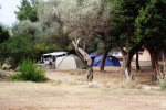 kamp camping Crvena Glavica Sveti Štefan