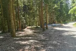camper stop - The Woods of Sinic Pohorje