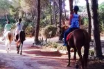 Camping Bella Sardinia Horse Riding 