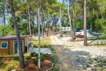 Kamp Dvor - Barban, Istra