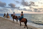 Camping S Ena Arrubia Sandy beach horseback riding x jpg 