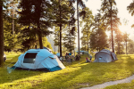 Kamp Forest Mozirje