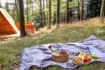 Glamping The Woods of Sinic Pohorje