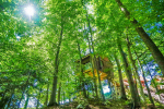 Lesena hišica na drevesu - Na Škaluc