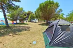 Kamp Dalmacija - Privlaka