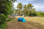 Kamp Dvor - Barban, Istra