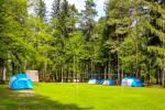 Kamp Forest Mozirje