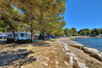 Kamp Orsera - Vrsar, Istra