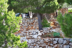 kamp Pinus Starigrad Paklenica