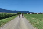 Kočevsko - kolesarjenje