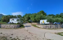 kamp Pod Maslinom Orašac Dubrovnik
