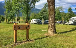 Kamp Danica - Bohinj