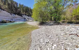 River Camping Bled - lesce