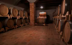 Vinska klet Matošević - Osrednja Istra