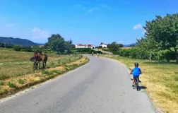 Vipavska dolina - kolesarjenje
