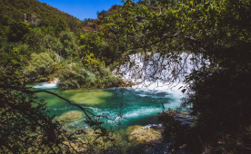 PZA Bled — photo 5