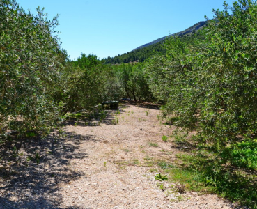 kamp Kanun Bol Brač