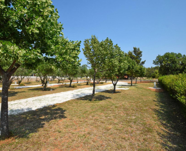 kamp Katinka Starigrad Paklenica