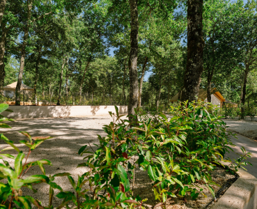 Camping Banki Green Istrian Resort - Tinjan