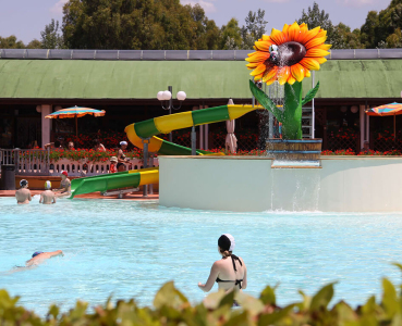 Camping Free Time Pool 
