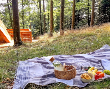 Glamping The Woods of Sinic Pohorje