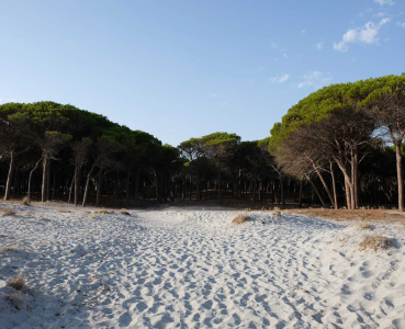 Selema Camping Sandy Beach 