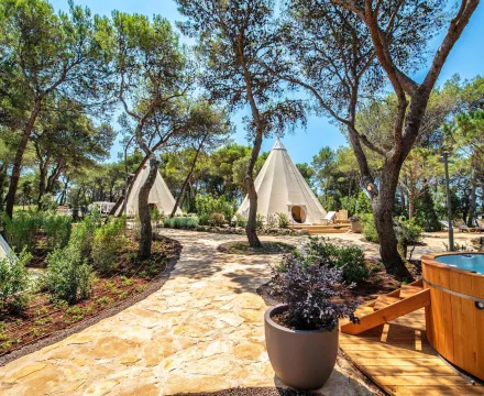 Glamping holidays - Arena One 99