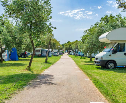 Kamp Oliva - Rabac, Istra
