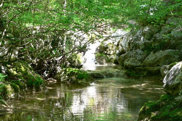 Oglejte si naravne znamenitosti severozahodne Istre (Umag, Novigrad, Buje in Bartonigla)