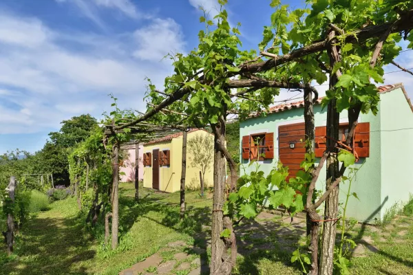 Guesthouse Green Istria