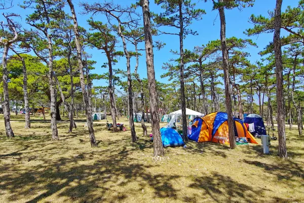 Camping Planik