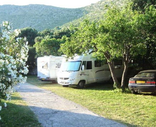 kamp camping Trsteno Dubrovnik Dalmacija