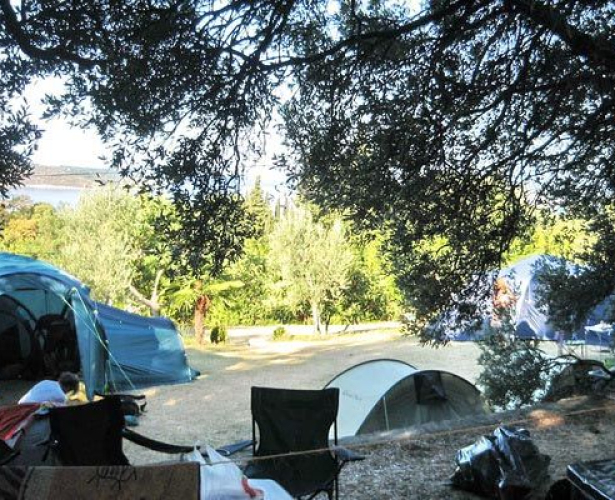 kamp camping Trsteno Dubrovnik Dalmacija