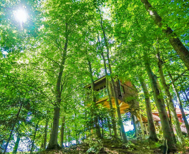 Lesena hišica na drevesu - Na Škaluc